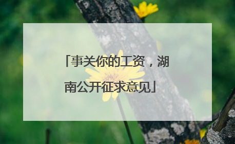 事关你的工资，湖南公开征求意见