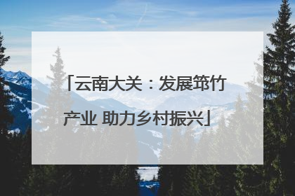 云南大关：发展筇竹产业 助力乡村振兴