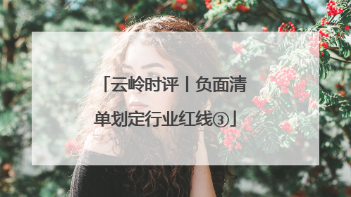 云岭时评丨负面清单划定行业红线③