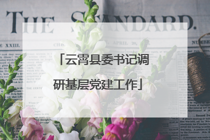 云霄县委书记调研基层党建工作