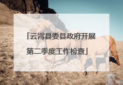云霄县委县政府开展第二季度工作检查
