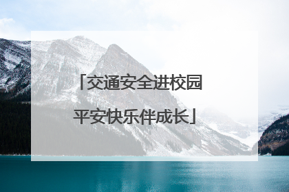交通安全进校园 平安快乐伴成长