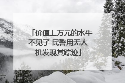 价值上万元的水牛不见了 民警用无人机发现其踪迹