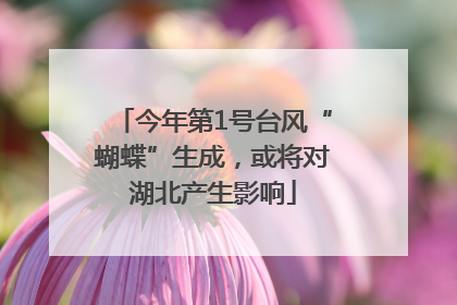 今年第1号台风“蝴蝶”生成，或将对湖北产生影响