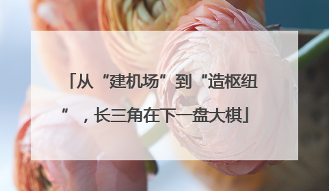 从“建机场”到“造枢纽”，长三角在下一盘大棋