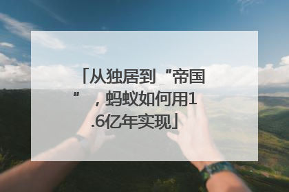 从独居到“帝国”，蚂蚁如何用1.6亿年实现