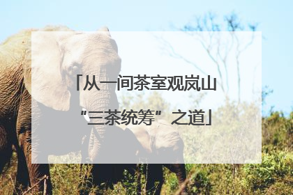 从一间茶室观岚山“三茶统筹”之道