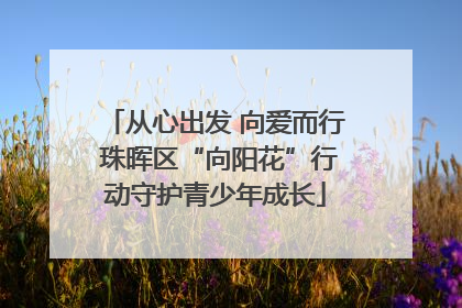 从心出发 向爱而行 珠晖区“向阳花”行动守护青少年成长