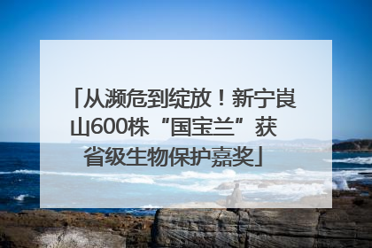 从濒危到绽放！新宁崀山600株“国宝兰”获省级生物保护嘉奖