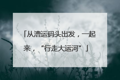 从漕运码头出发，一起来，“行走大运河”