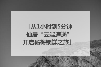 从1小时到5分钟 仙居“云端速递”开启杨梅锁鲜之旅