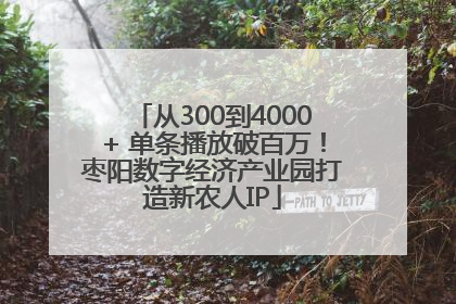 从300到4000+ 单条播放破百万！枣阳数字经济产业园打造新农人IP