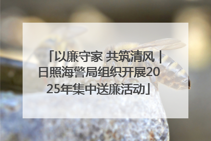 以廉守家 共筑清风｜日照海警局组织开展2025年集中送廉活动