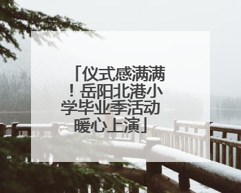 仪式感满满！岳阳北港小学毕业季活动暖心上演