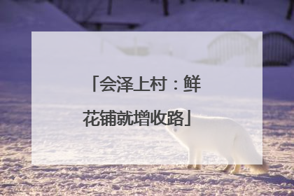 会泽上村：鲜花铺就增收路