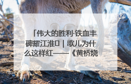 伟大的胜利·铁血丰碑耀江淮⑫｜歌儿为什么这样红——《黄桥烧饼歌》诞生记
