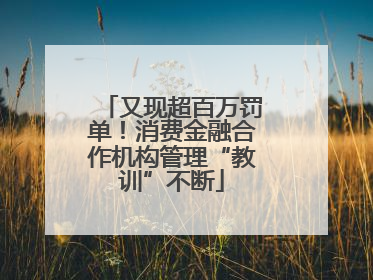 又现超百万罚单！消费金融合作机构管理“教训”不断
