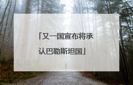 又一国宣布将承认巴勒斯坦国