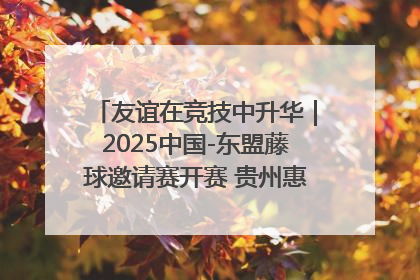 友谊在竞技中升华｜2025中国-东盟藤球邀请赛开赛 贵州惠水燃动“空中芭蕾”