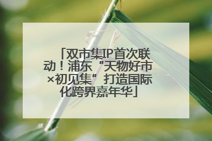 双市集IP首次联动！浦东“天物好市×初见集”打造国际化跨界嘉年华