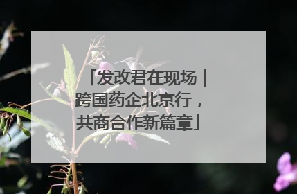 发改君在现场｜跨国药企北京行，共商合作新篇章