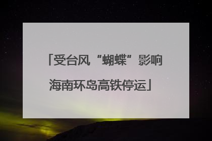 受台风“蝴蝶”影响 海南环岛高铁停运
