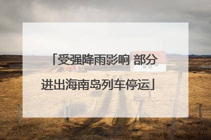 受强降雨影响 部分进出海南岛列车停运