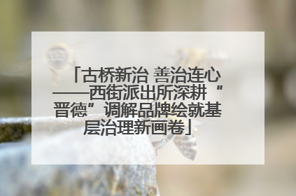 古桥新治 善治连心——西街派出所深耕“晋德”调解品牌绘就基层治理新画卷