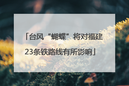 台风“蝴蝶”将对福建23条铁路线有所影响