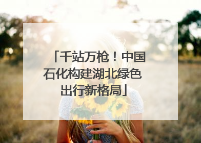 千站万枪！中国石化构建湖北绿色出行新格局