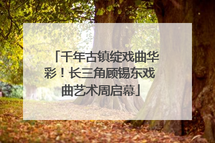 千年古镇绽戏曲华彩！长三角顾锡东戏曲艺术周启幕