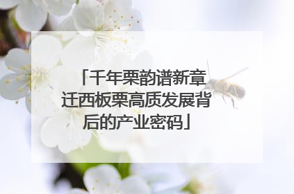 千年栗韵谱新章 迁西板栗高质发展背后的产业密码
