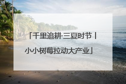 千里追耕·三夏时节丨小小树莓拉动大产业