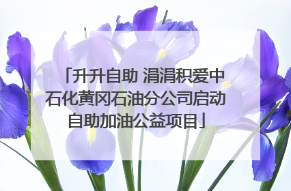 升升自助 涓涓积爱中石化黄冈石油分公司启动自助加油公益项目