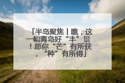 半岛聚焦丨瞧，这一幅青岛好“丰”景！愿你“芒”有所获，“种”有所得