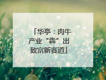 华亭：肉牛产业“犇”出致富新赛道