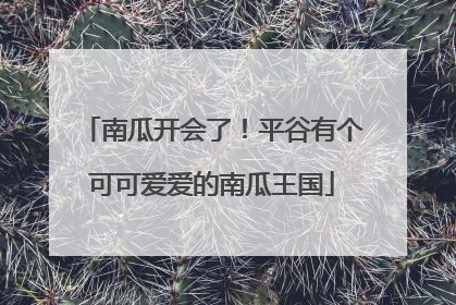 南瓜开会了！平谷有个可可爱爱的南瓜王国