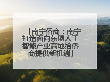南宁侨商：南宁打造面向东盟人工智能产业高地给侨商提供新机遇