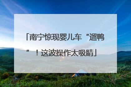 南宁惊现婴儿车“遛鸭”！这波操作太吸睛