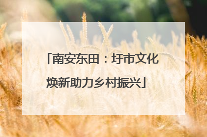 南安东田：圩市文化焕新助力乡村振兴