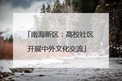 南海新区：高校社区开展中外文化交流