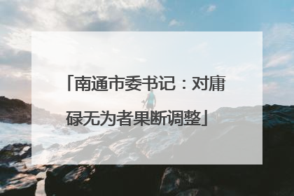 南通市委书记：对庸碌无为者果断调整