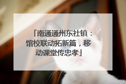 南通通州东社镇：馆校联动拓新篇，移动课堂传忠孝
