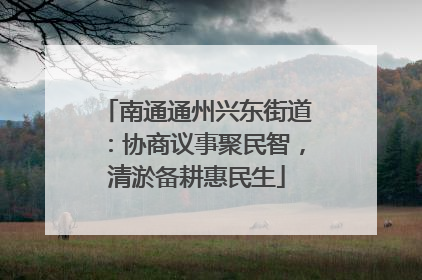 南通通州兴东街道：协商议事聚民智，清淤备耕惠民生