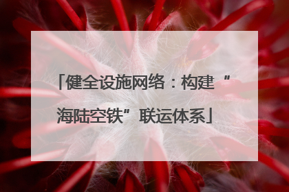 健全设施网络：构建“海陆空铁”联运体系