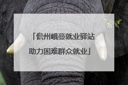 儋州峨蔓就业驿站助力困难群众就业