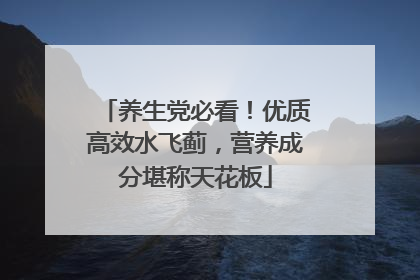 养生党必看！优质高效水飞蓟，营养成分堪称天花板