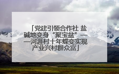 党建引领合作社 盐碱地变身“聚宝盆”——河涯村十年蝶变实现产业兴村群众富