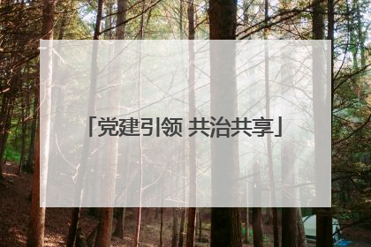 党建引领 共治共享