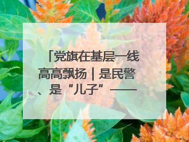 党旗在基层一线高高飘扬｜是民警、是“儿子”——申飞飞在太行山中的一线坚守